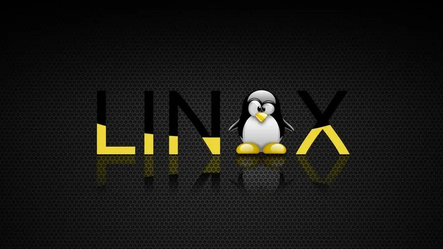 Linux系统新增虚拟内存 - 老友小站